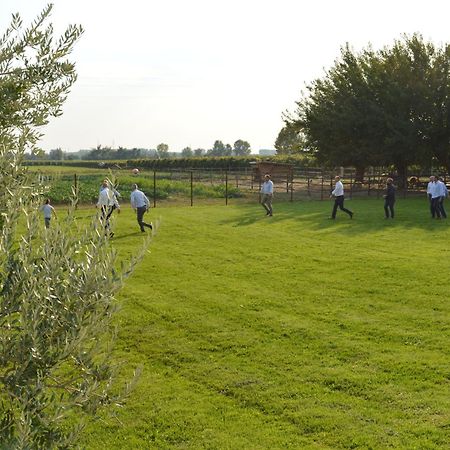 Agriturismo Al Casale Lonigo Dış mekan fotoğraf